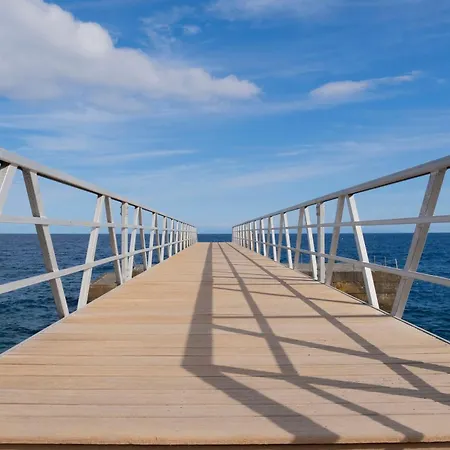 Mandarina 5 Candelaria